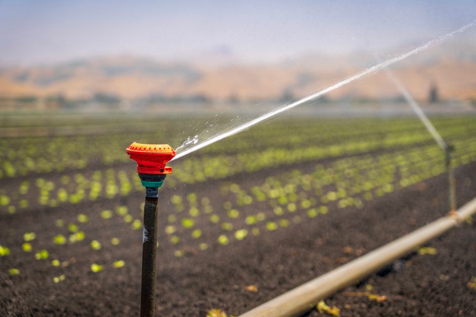 Agricultural land with irrigation